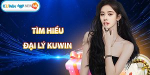 Đại lý KUWIN